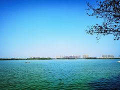 -金银湖国家城市湿地公园