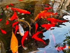 -后谷咖啡(建设巷店)