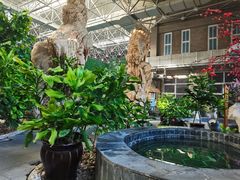 -兴芮温泉度假区