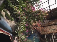 -呀路古热带植物园