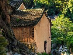 -杨家堂村
