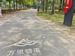 -顺峰山公园