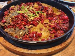 -老板恋上鱼(印象城店)