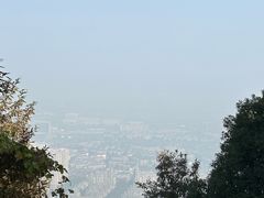 -惠山国家森林公园