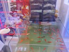 -汤姆熊欢乐世界(大连恒隆广场店)