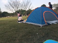 -聚龙山公园