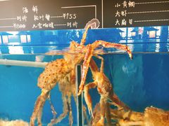 -綱元·海鲜豆捞(明州里店)