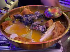 -Darling Queen·Mini·Live·House