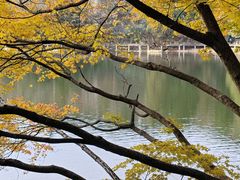 -庐山风景区花径公园