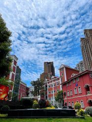 -复旦大学附属妇产科医院(黄浦院区)