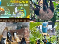 -香港海洋公园