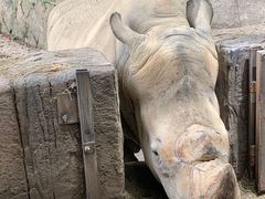 -杭州野生动物世界