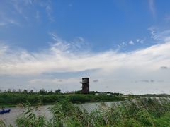 -春花秋色城市公园