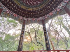 -乌山风景区