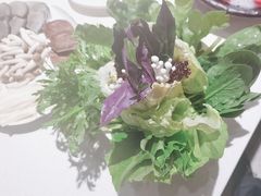 -爆棚肥牛火锅(原福成肥牛城味之缘三里河店)