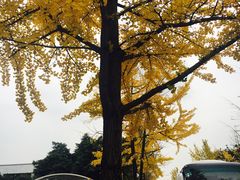 -西南民族大学南区(双流校区)