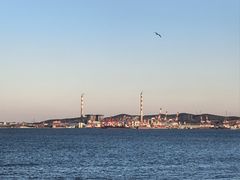 -悦海公园