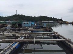 -海上驿站渔家菜馆