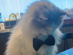 -暗楼·剧本杀·桌游