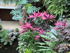 -广州白天鹅宾馆