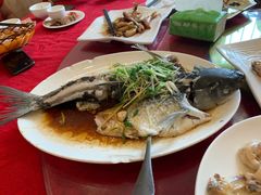 -鸿达渔港