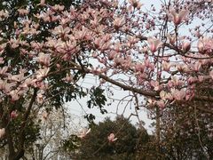 -赛百味SUBWAY(高新绿宝店)