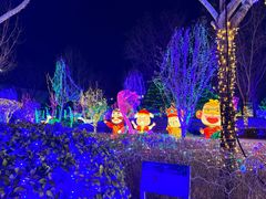 -南宫五洲植物乐园