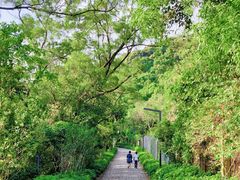 -燕晗山郊野公园