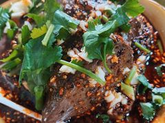 -小杨翘脚牛肉