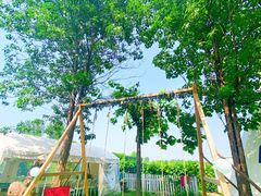 -安德鲁户外烧烤帐篷营地(马泉营店)