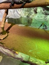 -Zoolung Zoolung动物主题公园(海信广场店)