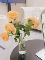 -海涛医疗美容·面部抗衰·注射美鼻