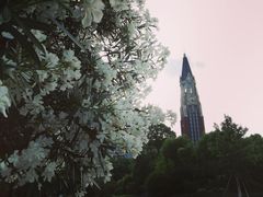 -华东政法大学(松江校区)