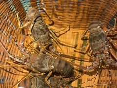 -拉完海鲜大排档(温岭店)