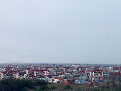 -洋山深水港