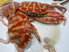 -大东海海鲜酒楼(渔人码头总店)