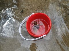 -碓臼峪自然风景区