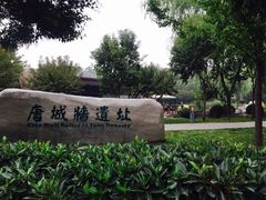 -唐城墙遗址公园