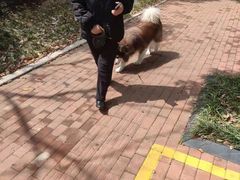 -宠颐生动物医院·小陆分院