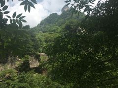 -青峰峡国家森林公园