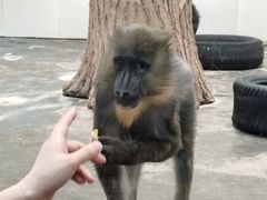 -西安秦岭野生动物园