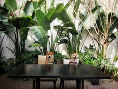 -云里小坐·小院里·团建·宴请·下午茶(三圣乡店)
