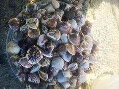 -北海金海湾红树林生态旅游区