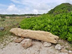 -龙坑生态保护区