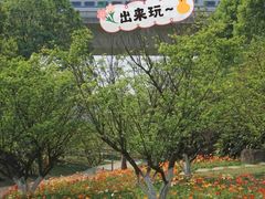 -秀丽东方
