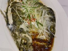 清蒸海鲈鱼-羊巴道·国际清真餐厅·商务宴请团建·主题包厢