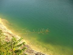 -广州市流溪河国家森林公园