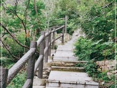 -府君山公园