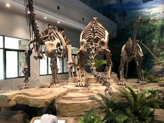 -自贡恐龙博物馆