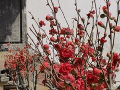 -宁波市保国寺古建筑博物馆